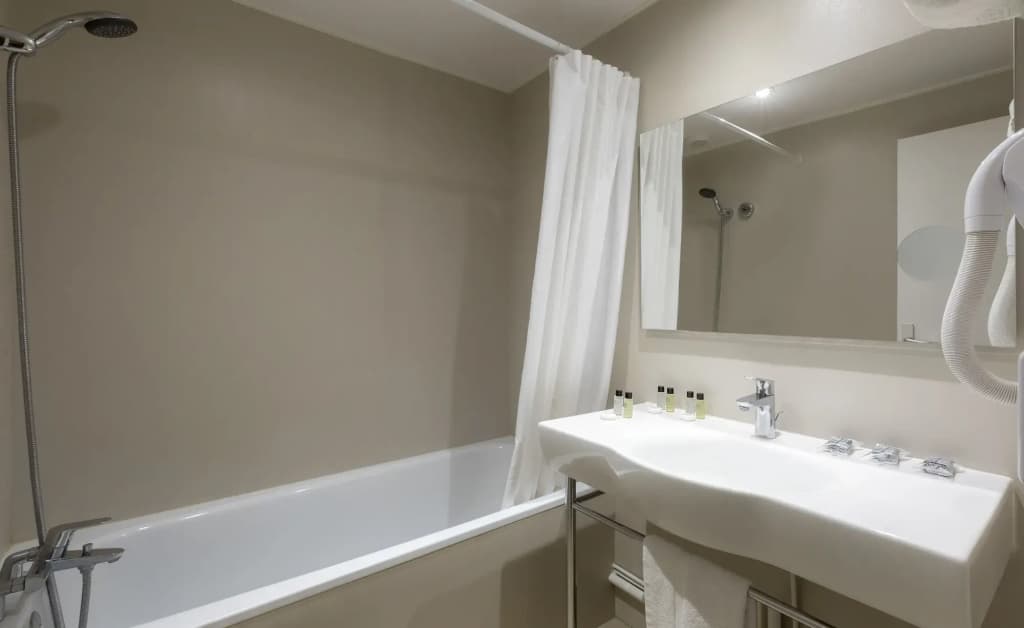 Hôtel du Lion - photo 10
