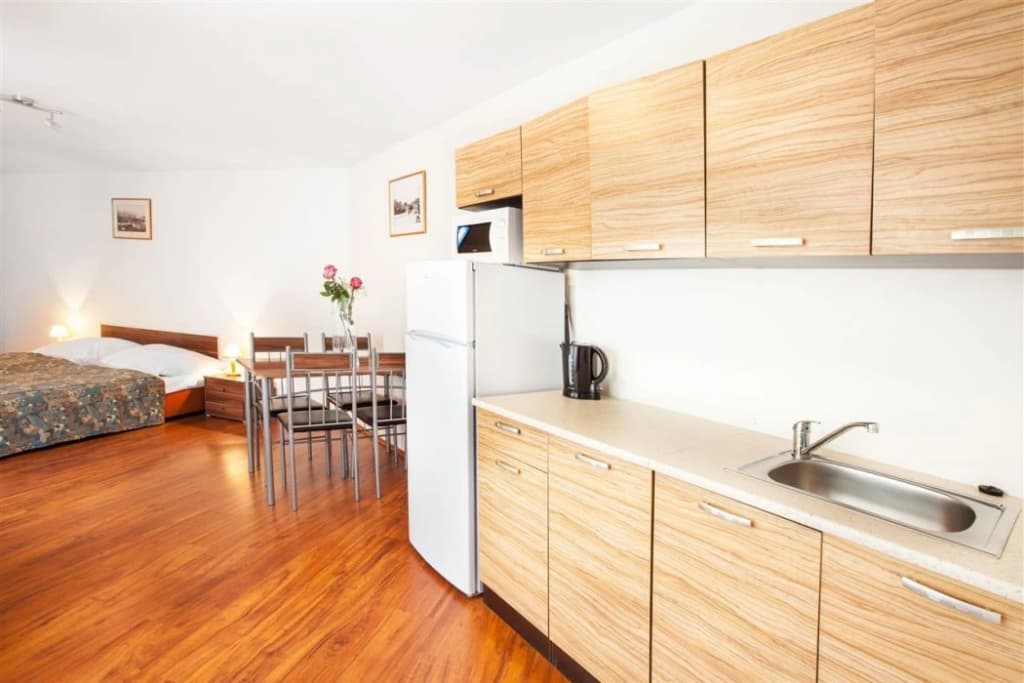 Apartment House Zizkov - photo 14