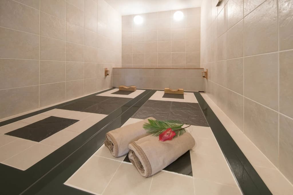 Hotel Alps - photo 16