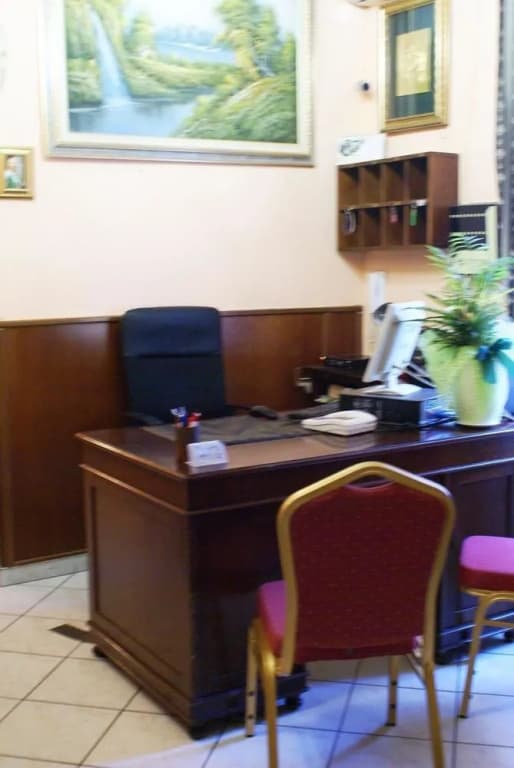 Farini - photo 13