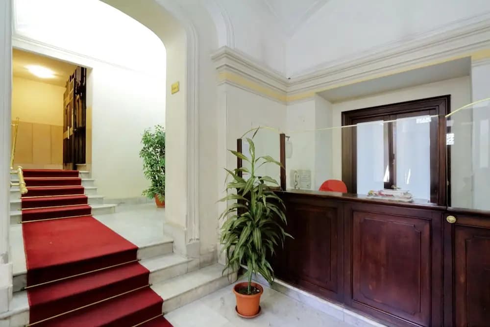 New Moon Guesthouse - photo 11