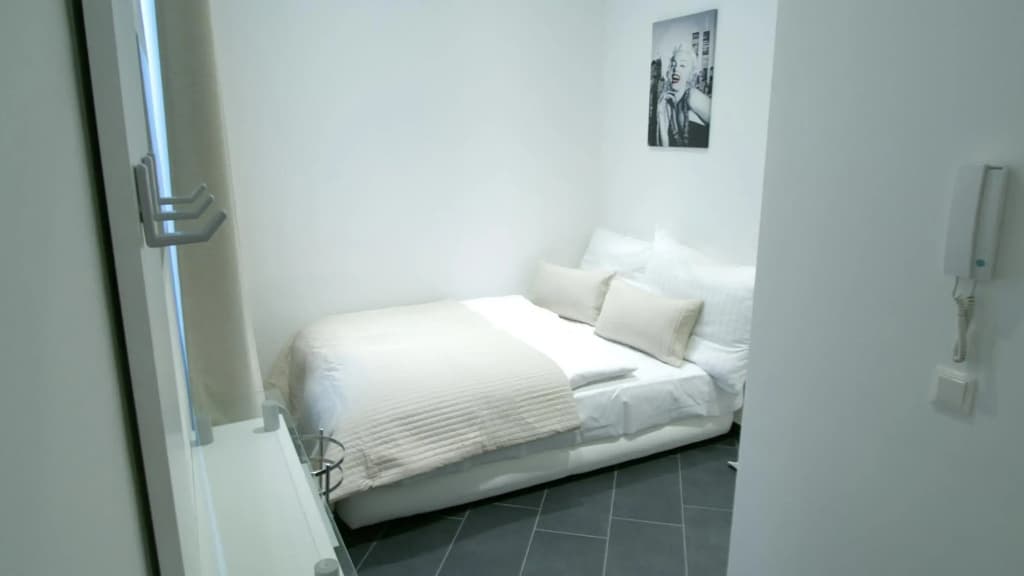 Lotus Apartment Vienna - photo 3