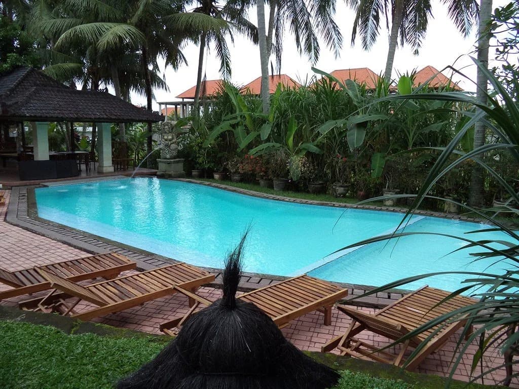 Panorama Hotel Ubud - photo 10