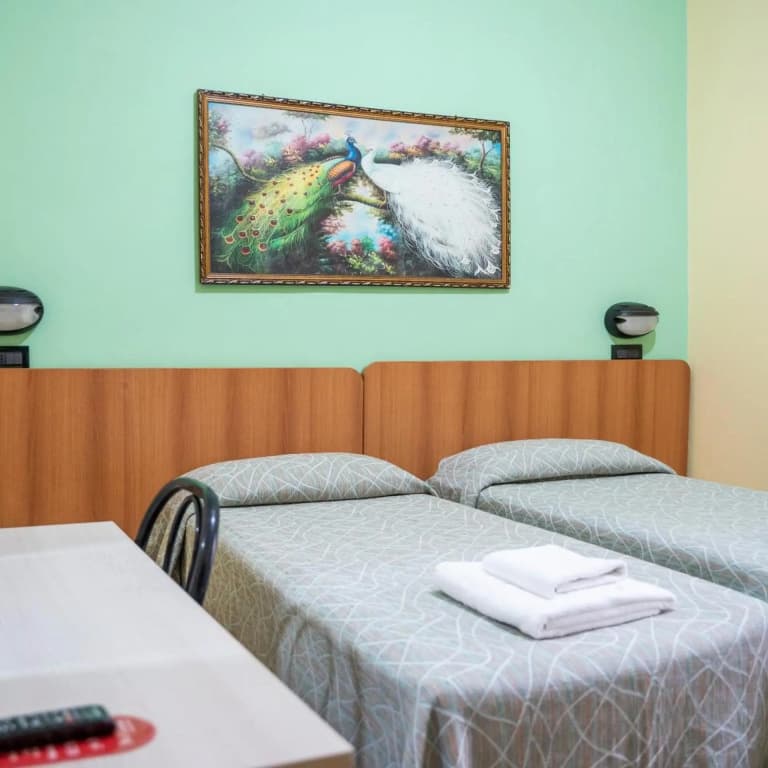 Hotel Ferrarese Roma - photo 27