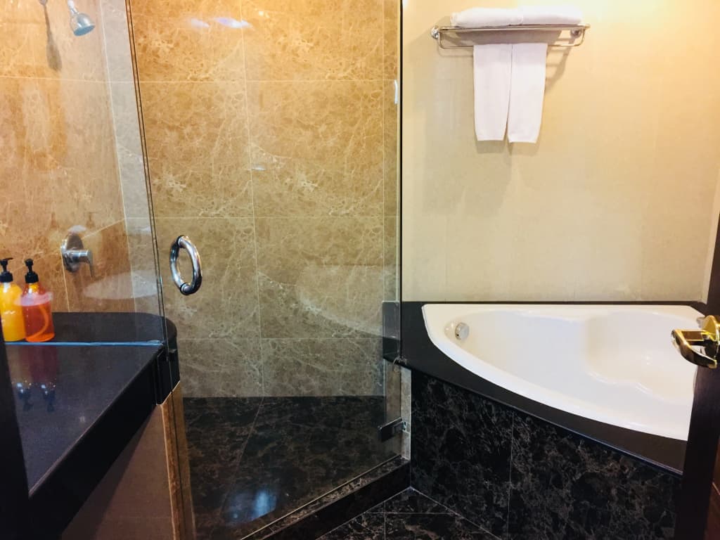 Indra Regent Hotel - photo 8