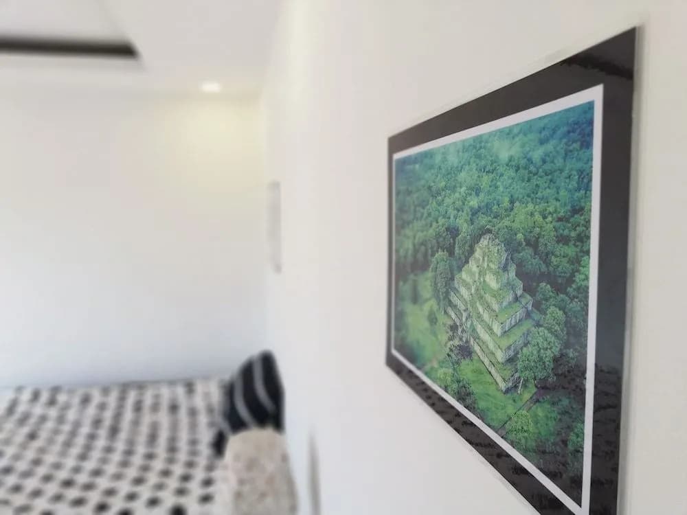 Cat's Hostel - photo 2