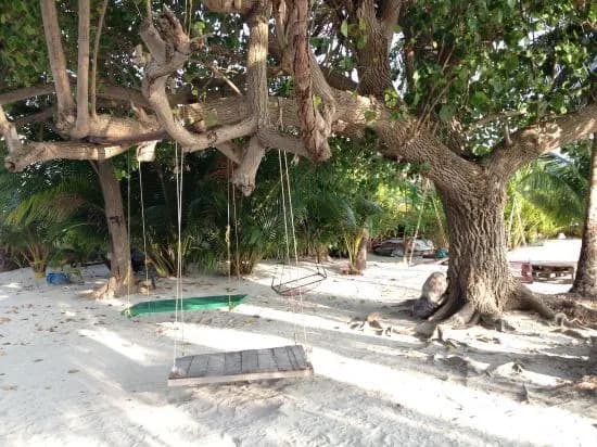 Askani Thulusdhoo Guesthouse - photo 9