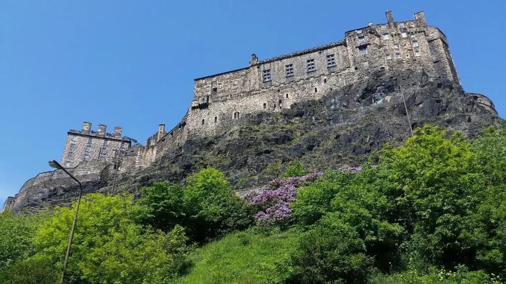 The Wee Thistle - main photo