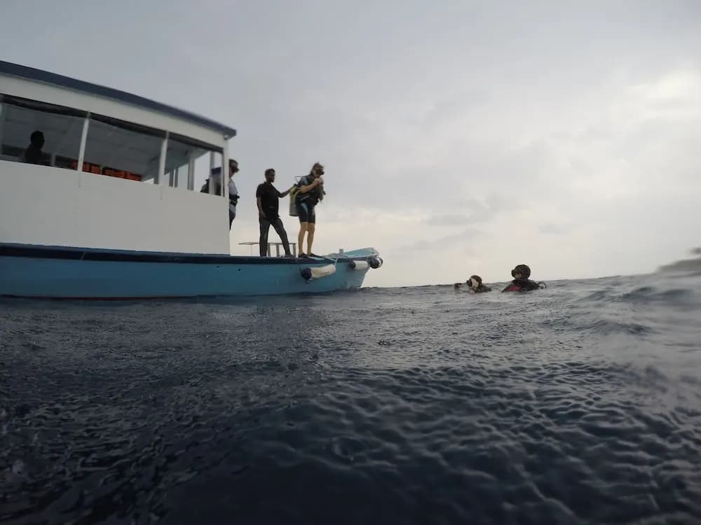 Annama Lodge And Dive - photo 27