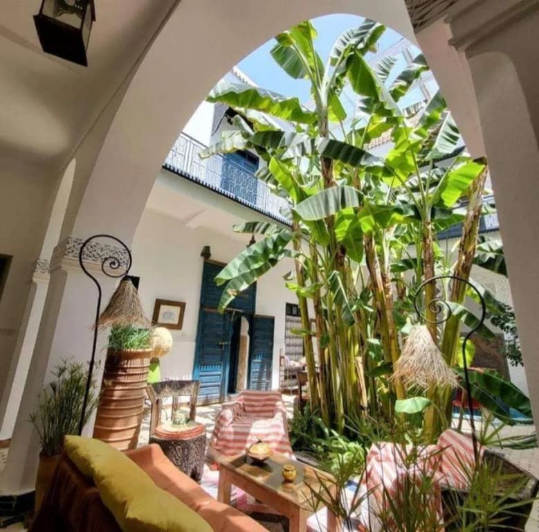 Riad Aloes - photo 14