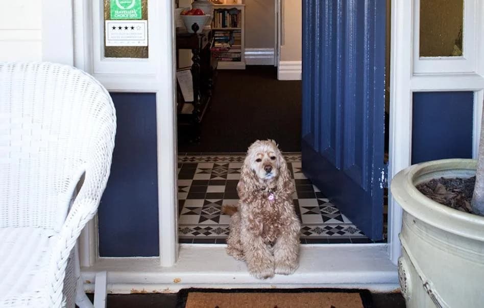 Melba House Boutique B&B - photo 10