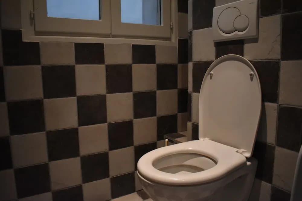 Spacious 1 Bedroom Apartment in Paris 15th - photo 7