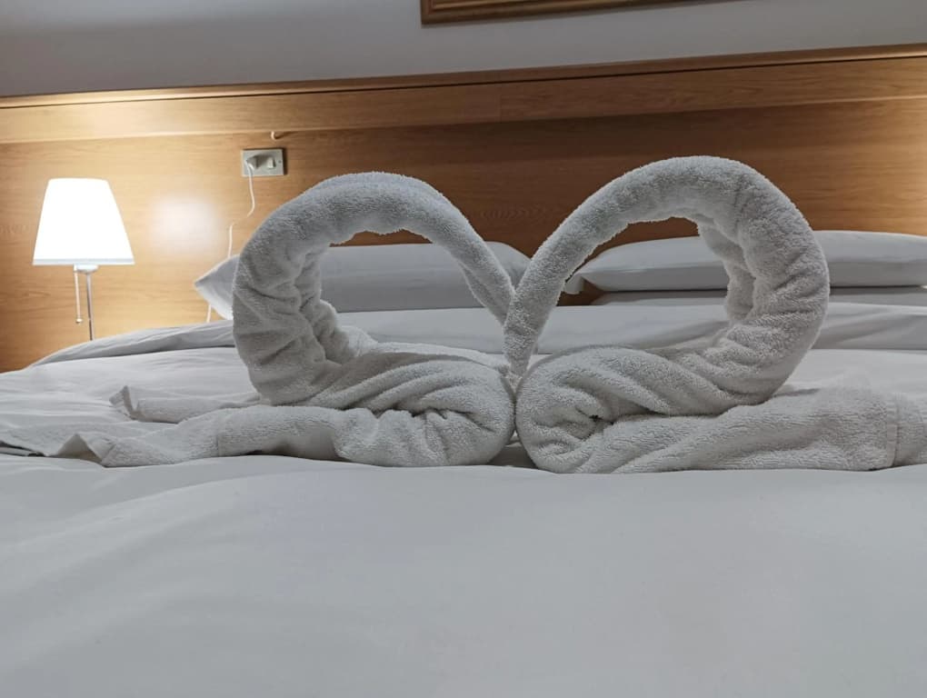 Hotel Tito - photo 35