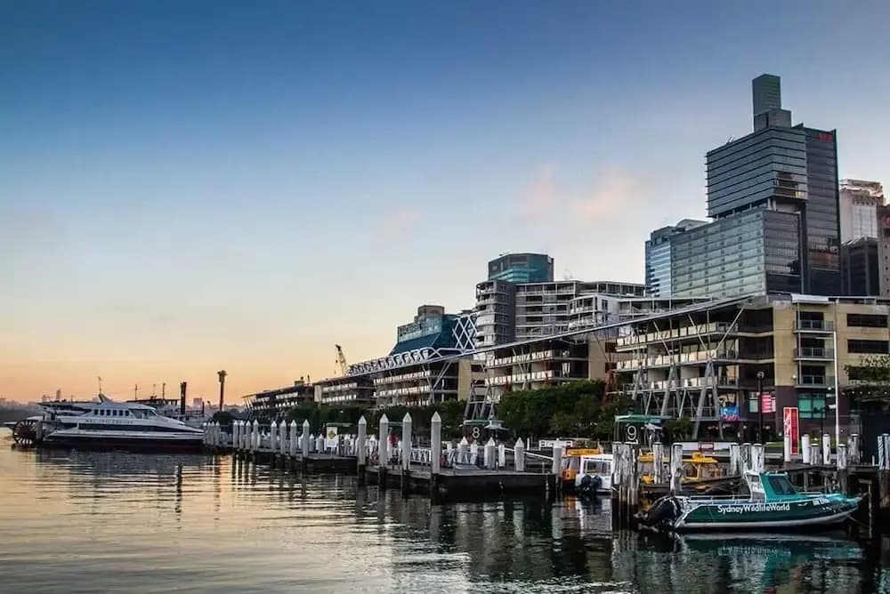 A Comfy & Modern Studio Near Darling Harbour - photo 15