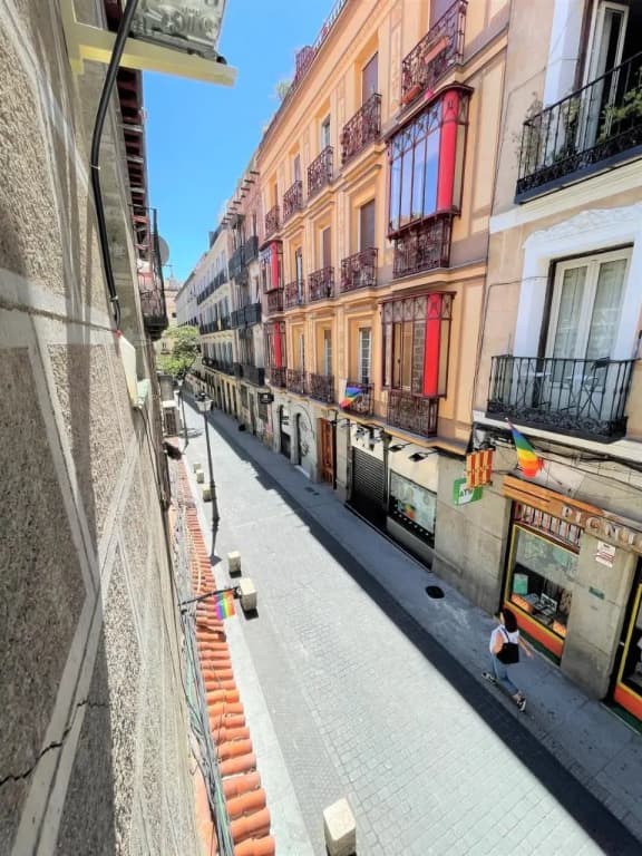 Apartamento Chueca Sky Deco - photo 1