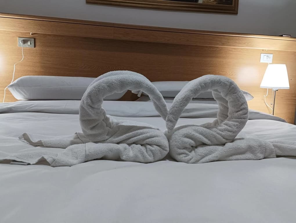 Hotel Tito - photo 28