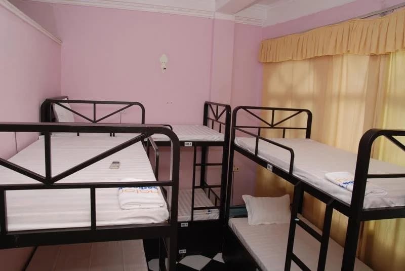 Halong Backpacker Hostel - photo 2