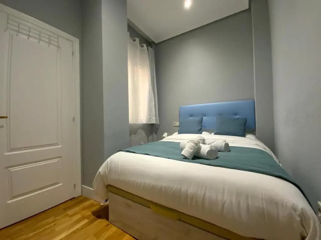 Apartments Madrid Principe - photo 2