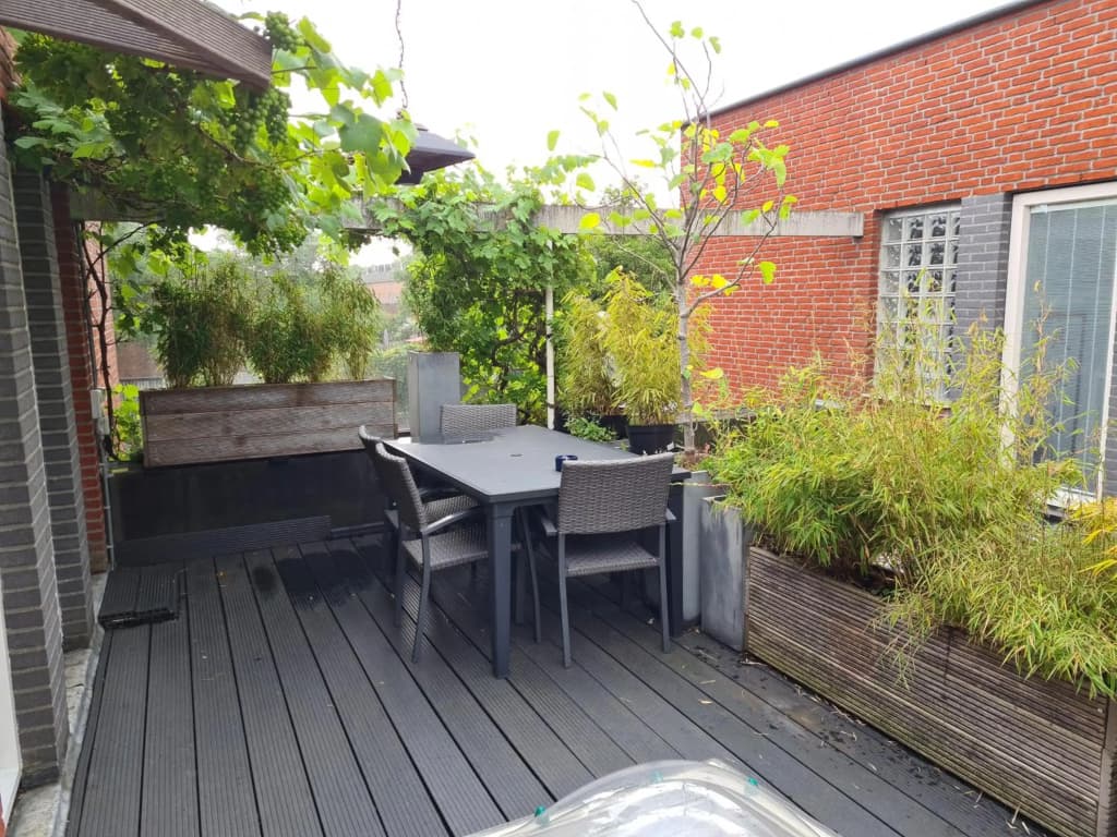 Royale en schone accommodatie met dakterras - photo 13
