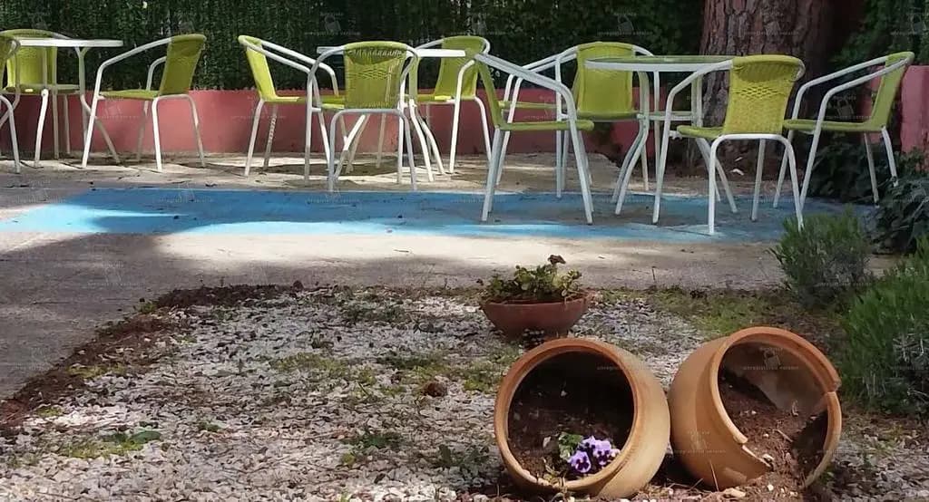 Hostal Aravaca Garden - photo 37