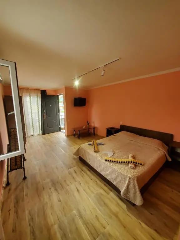 Galavani2 - photo 3