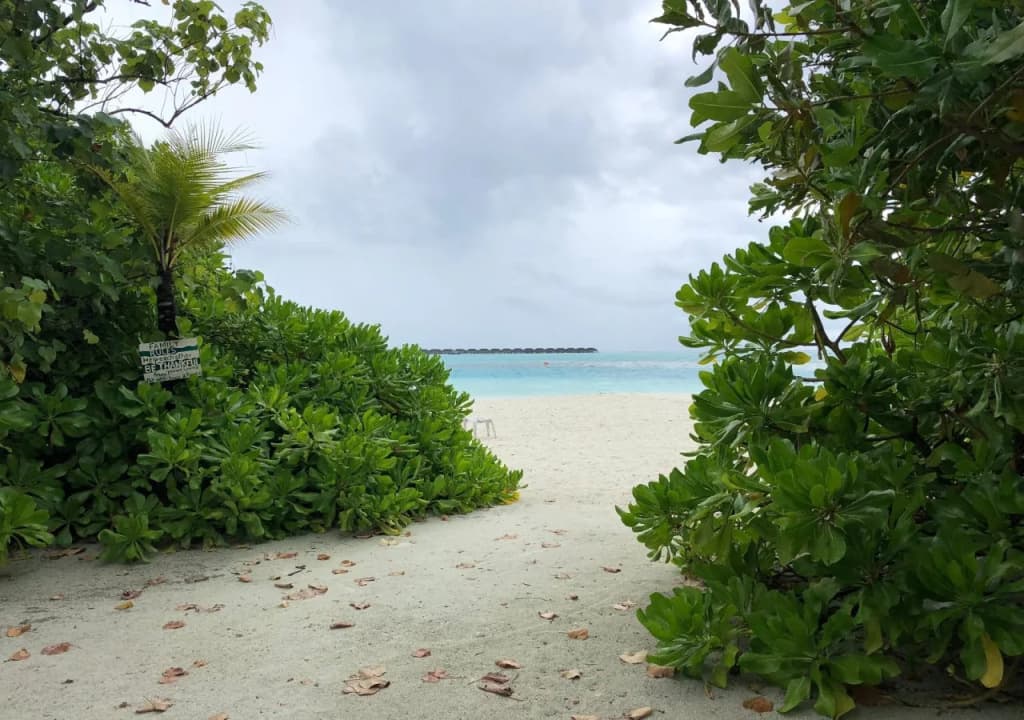 Dhiffushi Tourist Hotel - photo 9