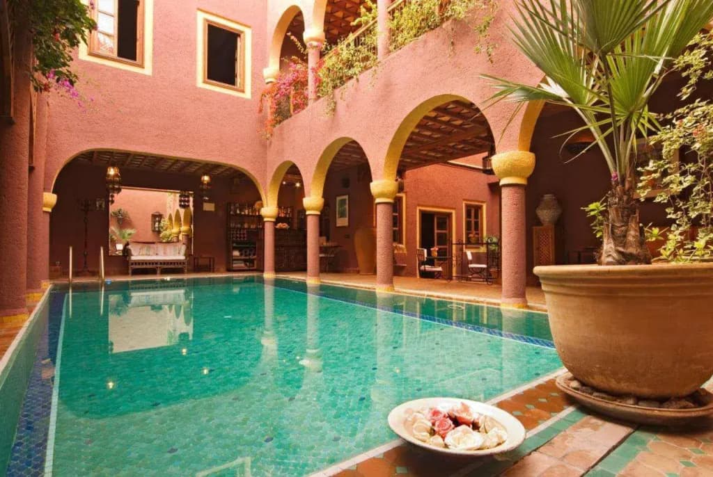 Riad Noga - photo 8
