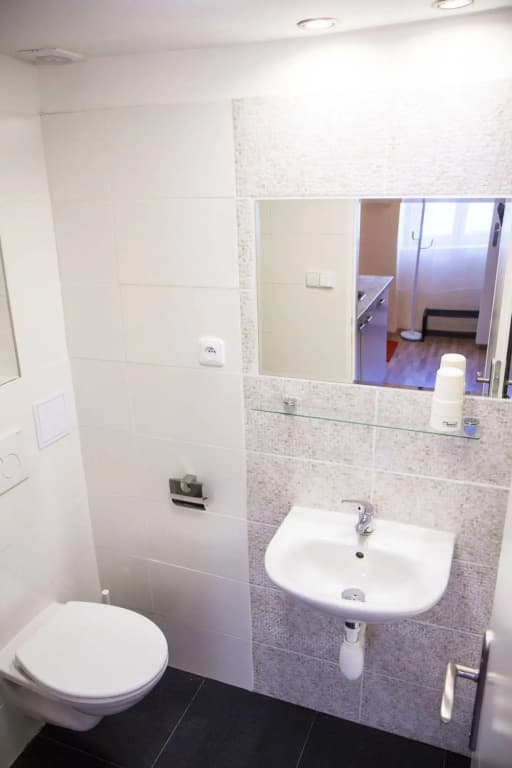 Lidicka Apartments - photo 9