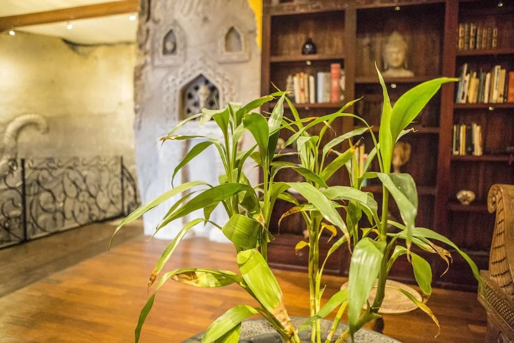 Avalon Ubud Villas - photo 15
