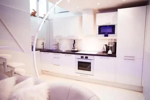 Stylish,luxury duplex Paris city center - photo 1