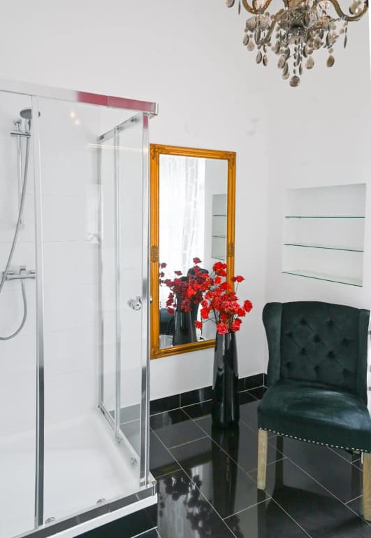 Delightful Suite Hofburg - photo 10