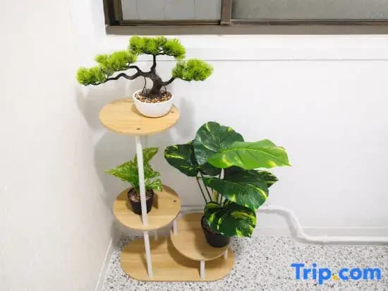 Osaka Nippori Minpaku Building 5 - photo 8