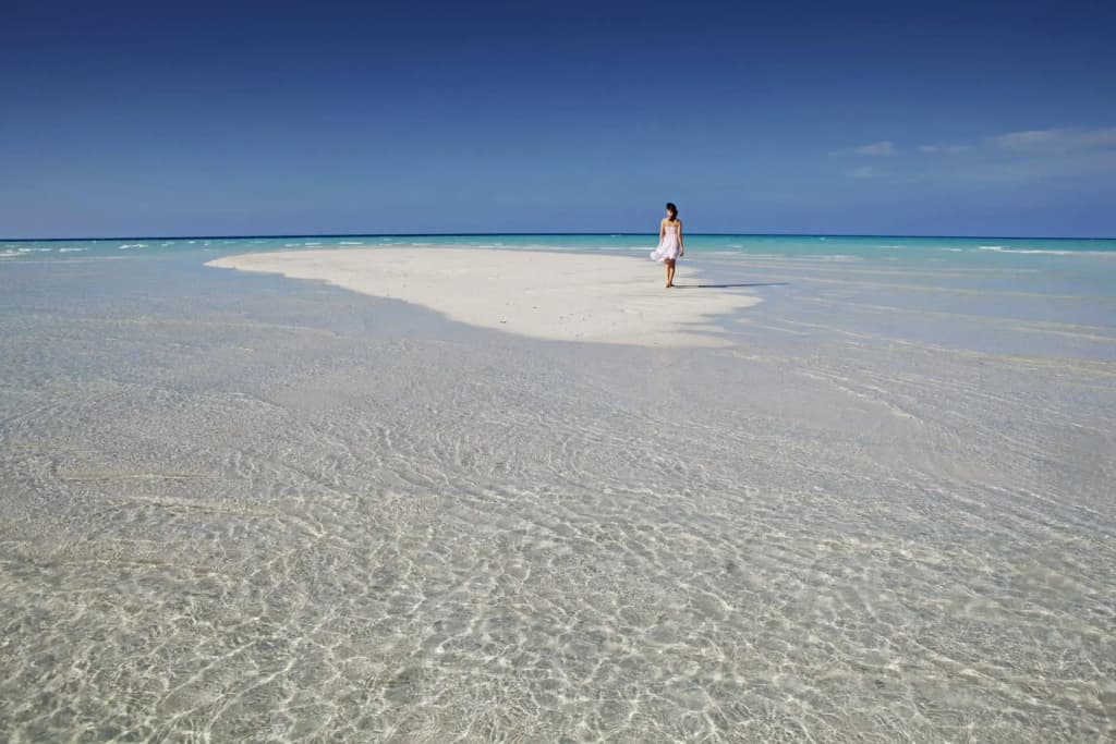 Niva Kuramathi Maldives - photo 14