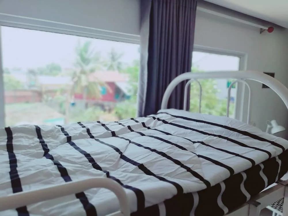 Cat's Hostel - photo 4