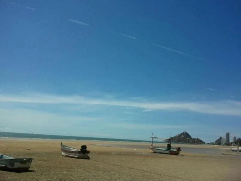 SM Beach Side Place - photo 17