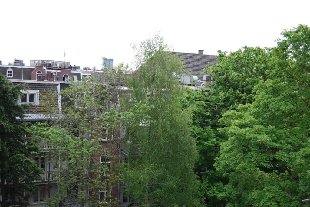 Adriaen van Ostade B&B - photo 19
