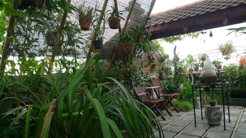 Hotel Garden Queen - photo 16