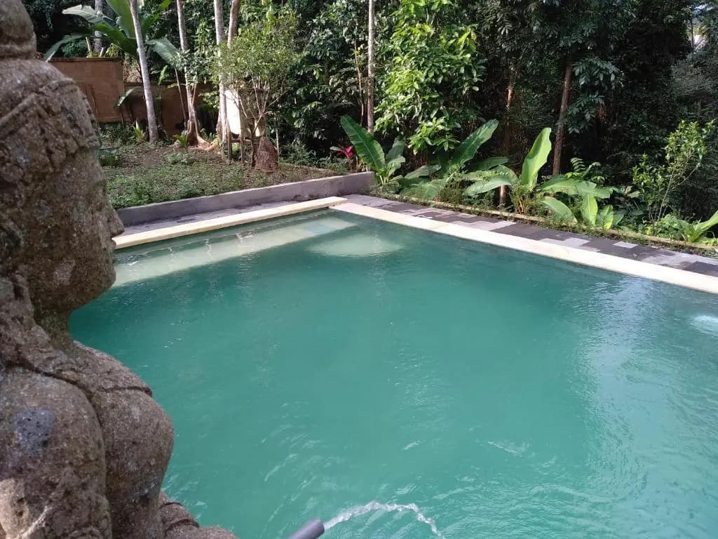 Sanga Suites Villas - photo 8