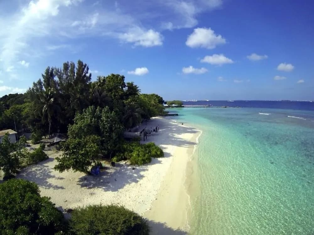 SeaHouse TopDeck Hotel Maldives - photo 11