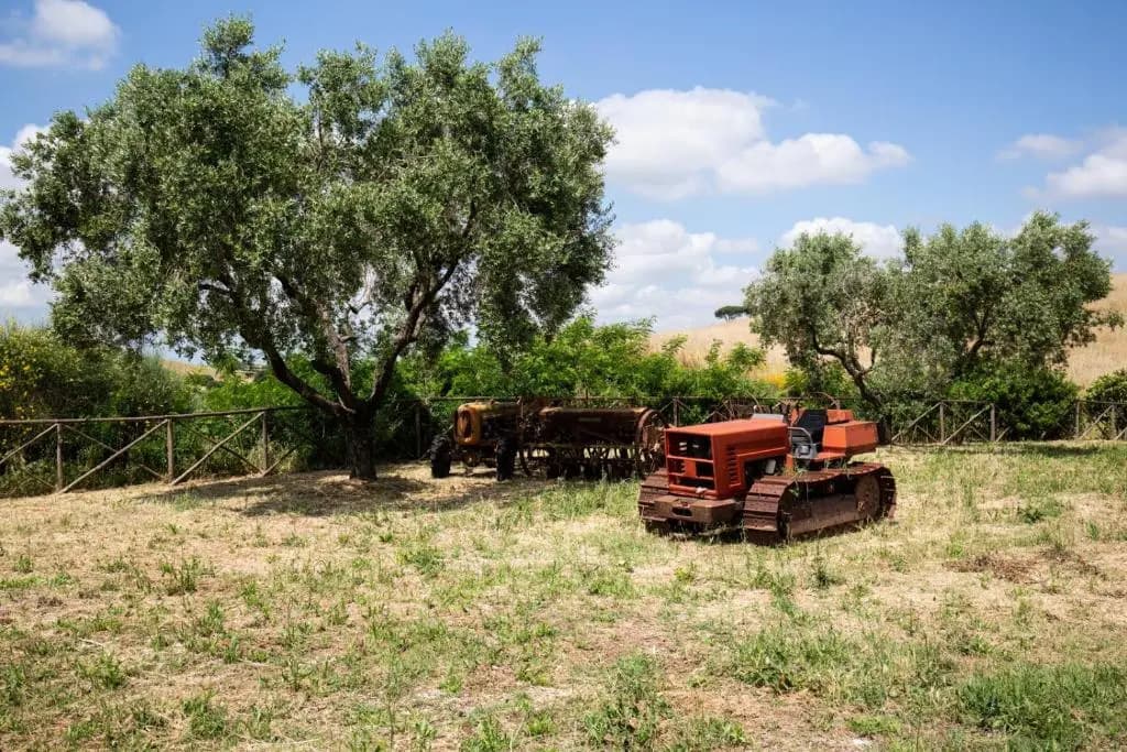 Tenuta Capizucchi - photo 18