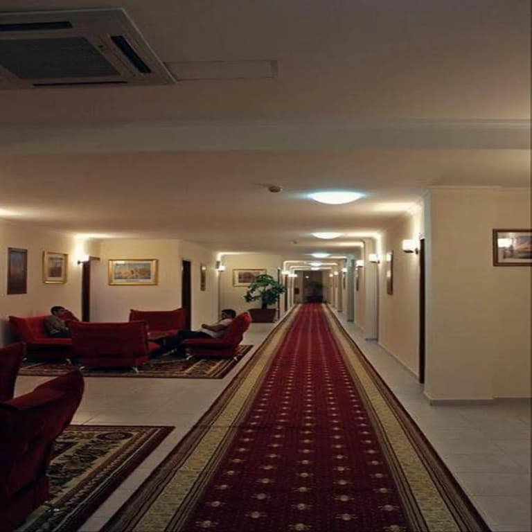 Bazaleti Palace - photo 16