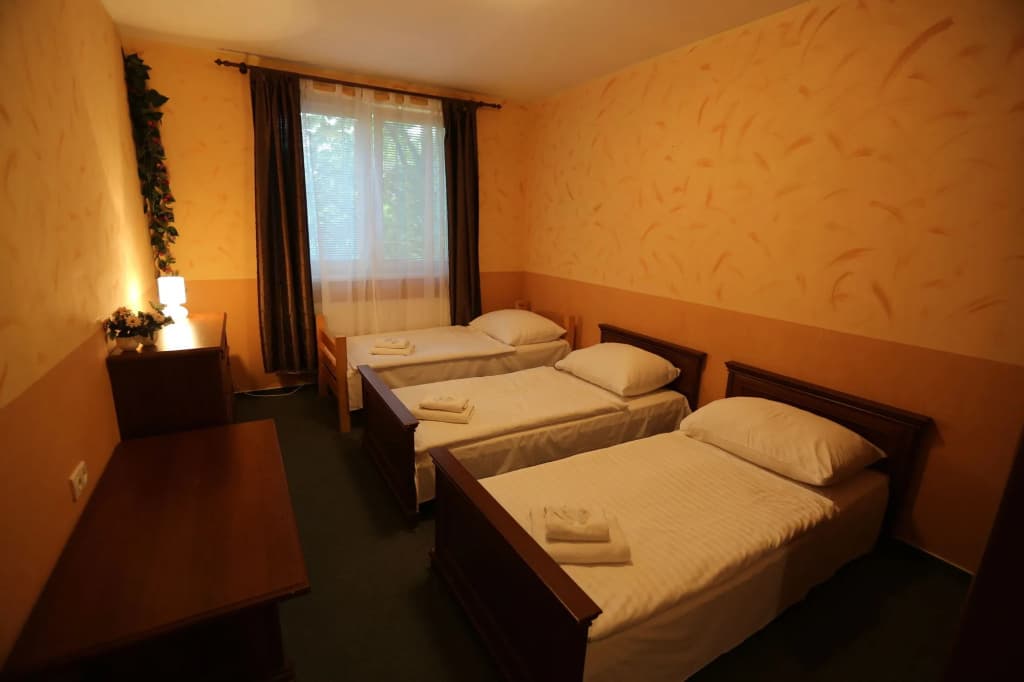 Hotel Arko - photo 7