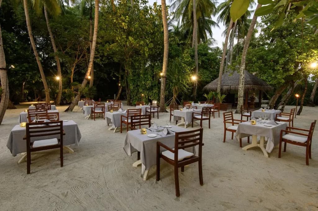 Diamonds Thudufushi Maldives Resort & Spa - photo 33