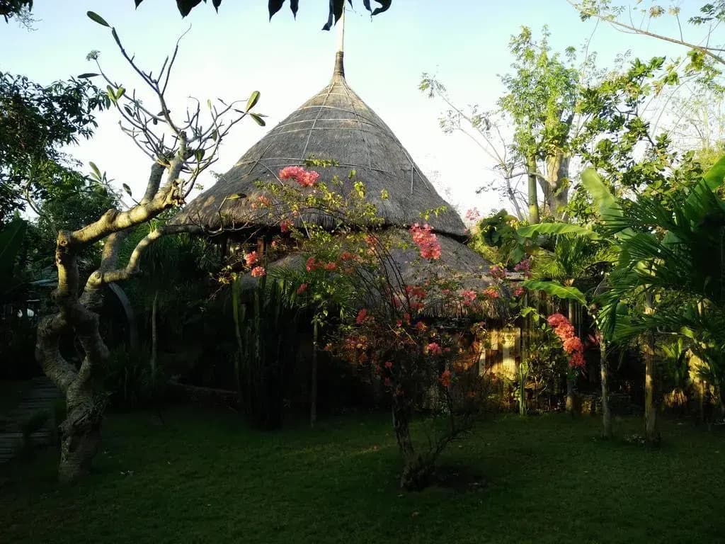 The Alchemist Lodge - photo 2