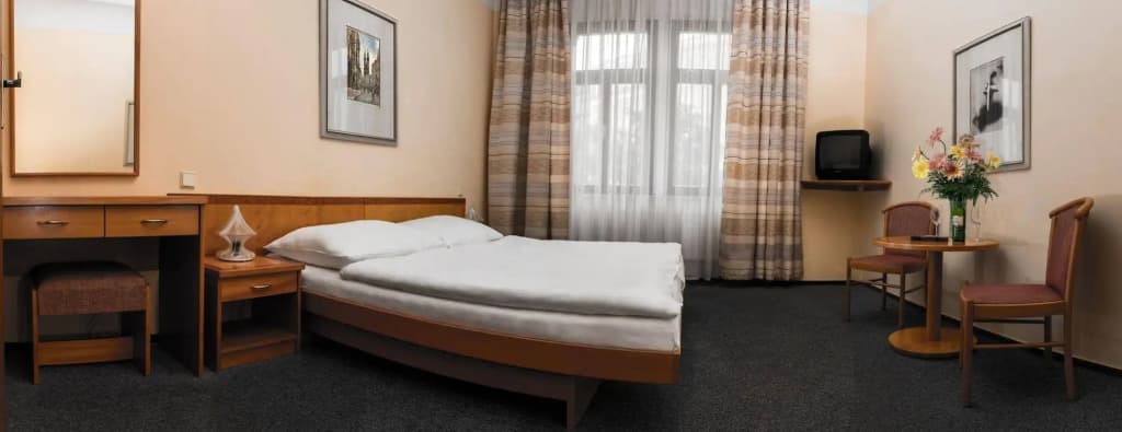 Hotel Dalimil - photo 4