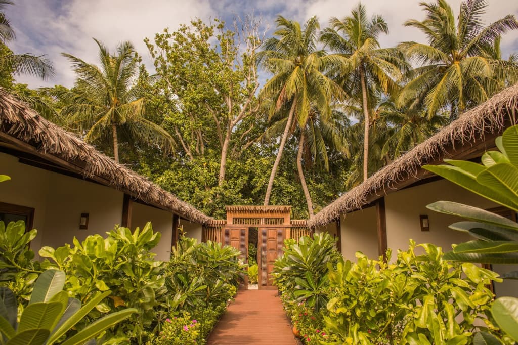 Plumeria Maldives Boutique Hotel - photo 24