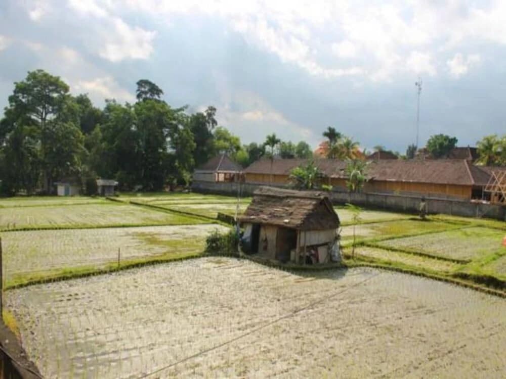 Permana Ubud Cottage - photo 13