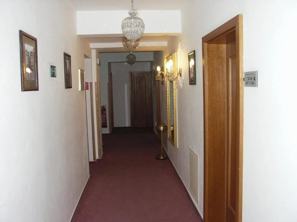 Vysehrad Hotel - photo 11