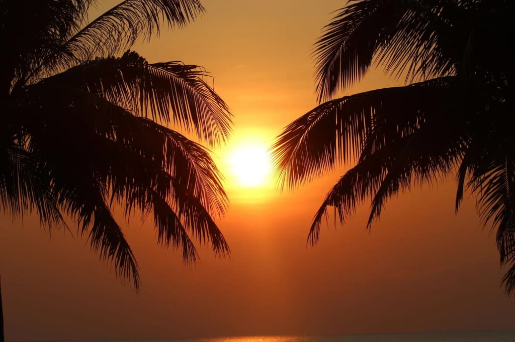 Sibaja Palms Sunset Beach Luxury Villa. - photo 14