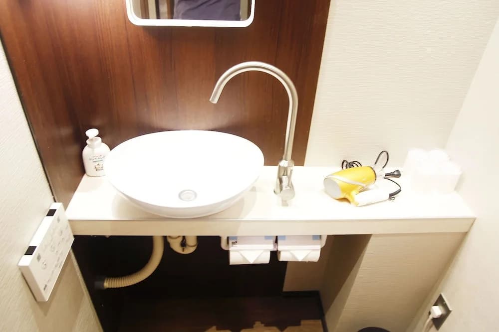 Ueno Lucky Homes - photo 25